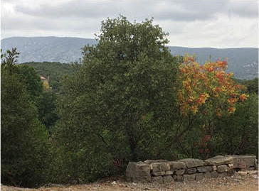 Croquis possible belvédère de la Chapelle