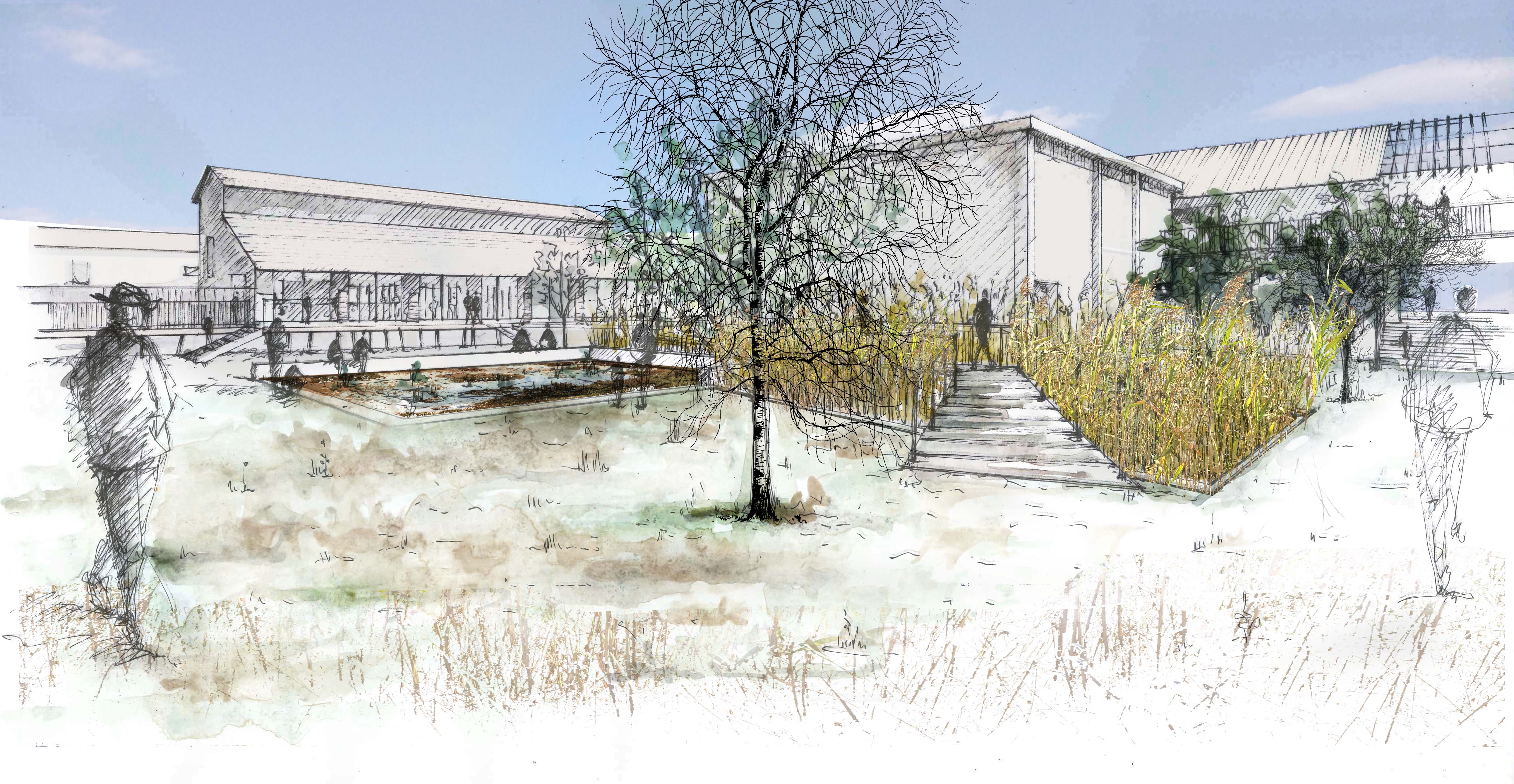 La cours des deux milieux